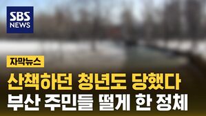 [자막뉴스] 산책하던 청년도 당했다&hellip;부산 주민들 떨게 한 정체