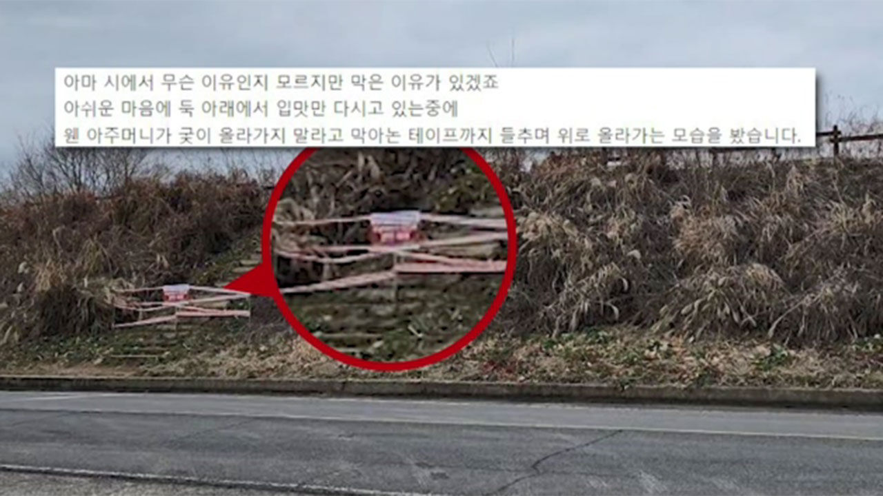 철새 도래지에 드론 띄우는 사람들