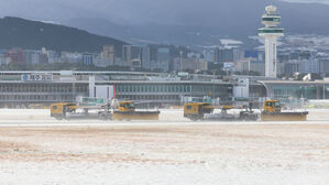 '눈보라 몰아친 제주' 항공편 무더기 결항&hellip;사고도 속출