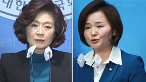 "당 분열된다, 제발"&hellip;'친명 마케팅' 과열에 자제 권고