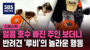 얼음 호수 빠진 주인 보더니 반려견 '루비'의 놀라운 행동