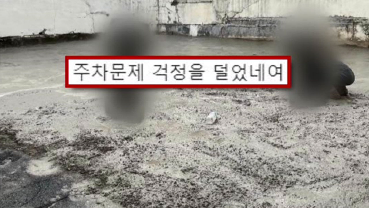 덜 마른 시멘트에 무단주차 발도장