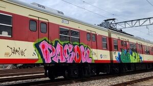 지난 17일 서울 성동구 서울교통공사 군자차량사업소에 있던 1호선 전동차 외부에 그라피티(Graffiti&middot;낙서처럼 그리는 거리예술) 형태의 낙서가 발견됐다. (사진=서울교통공사 제공)