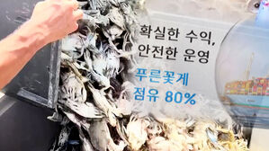 "푸른 꽃게 투자하면 수익률 월 21%"&hellip;투자자 모집 후 잠적