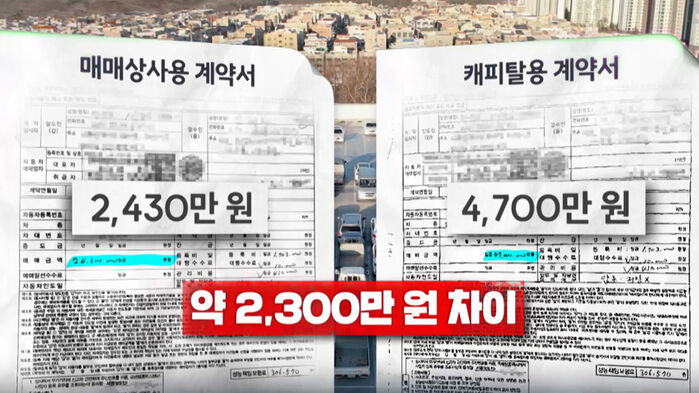 뉴스스프링