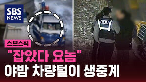 [스브스픽] "잡았다 요놈"&hellip;야밤 차량털이 생중계