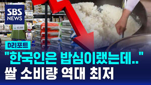 [D리포트] "한국인은 밥심이랬는데"&hellip;쌀 소비량 역대 최저