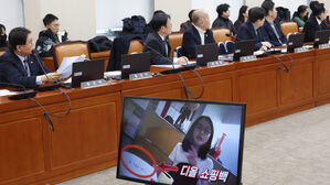 민주 "유명 외신들 '김건희 여사 명품백' 보도&hellip;국격 추락"