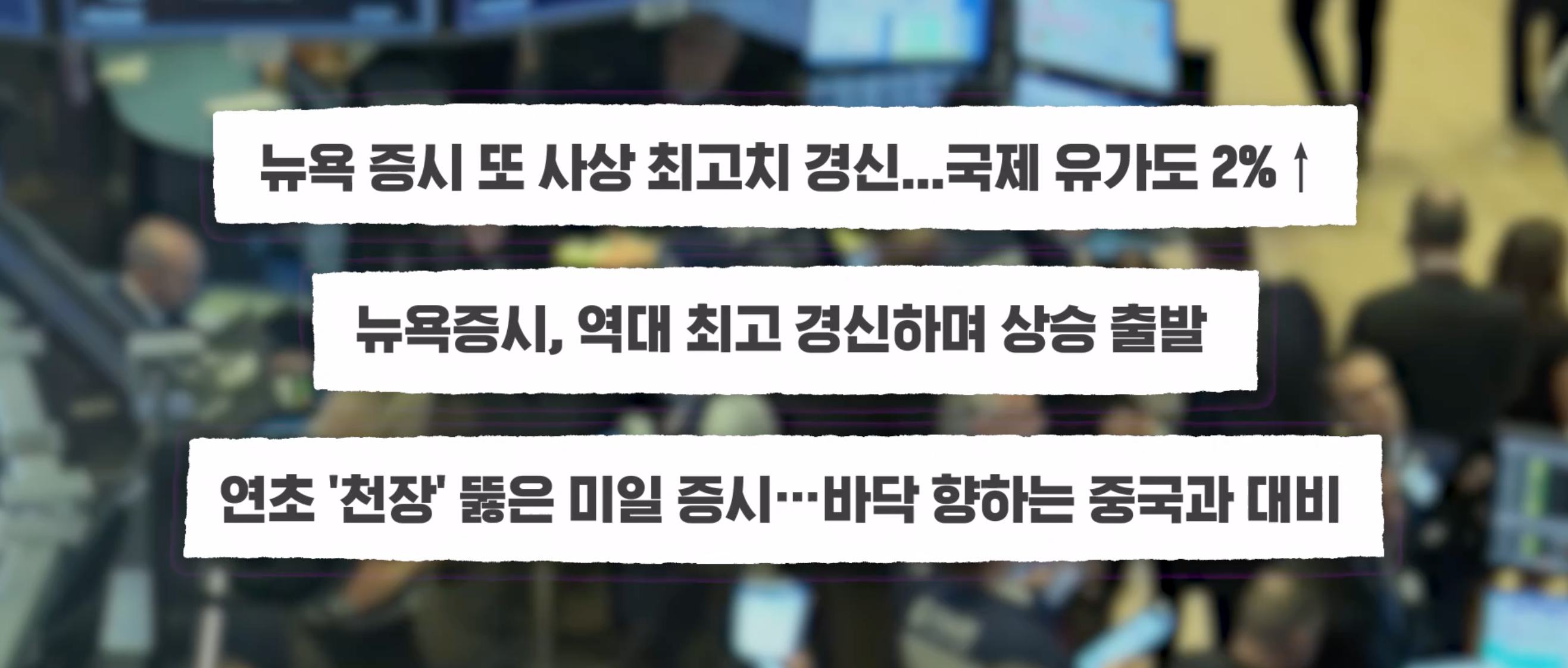 스프 교양이를부탁해 cg