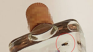 중국산 고량주에 파리 논란&hellip;서경덕 "중국 먹거리 철저히 조사"