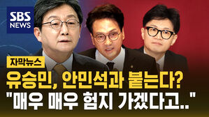 [자막뉴스] '국힘 잔류' 유승민&hellip;안민석과 붙는다?