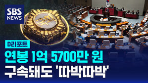 [D리포트] 국회의원 연봉은? 1억 5700만 원&hellip;구속돼도 '따박따박'