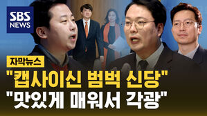 [자막뉴스] "캡사이신 신당"vs"정치 콜레스테롤"