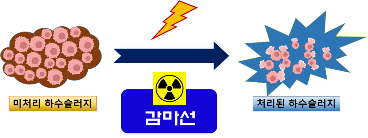 감마선으로 하수슬러지를 분해하는 과정을 도식화한 모습.