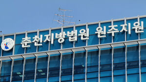 3세 딸 보는데 처가 식구와 몸싸움&hellip;피해 아빠도 폭력 노출 책임