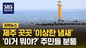 [자막뉴스] 올레길 걷다 '이거 뭐야?'&hellip;제주 해수욕장도 뒤덮었다