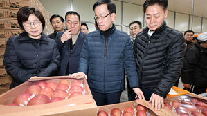 기재부 "설 직전 농축산물 할인 예산 100억 추가 배정"