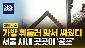 [자막뉴스] 가방 휘둘러 맞서 싸웠다&hellip;서울 시내 곳곳이 '공포'