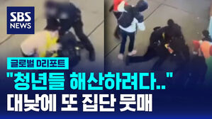[글로벌D리포트] 뉴욕 한복판에서&hellip;경찰 또 집단 뭇매