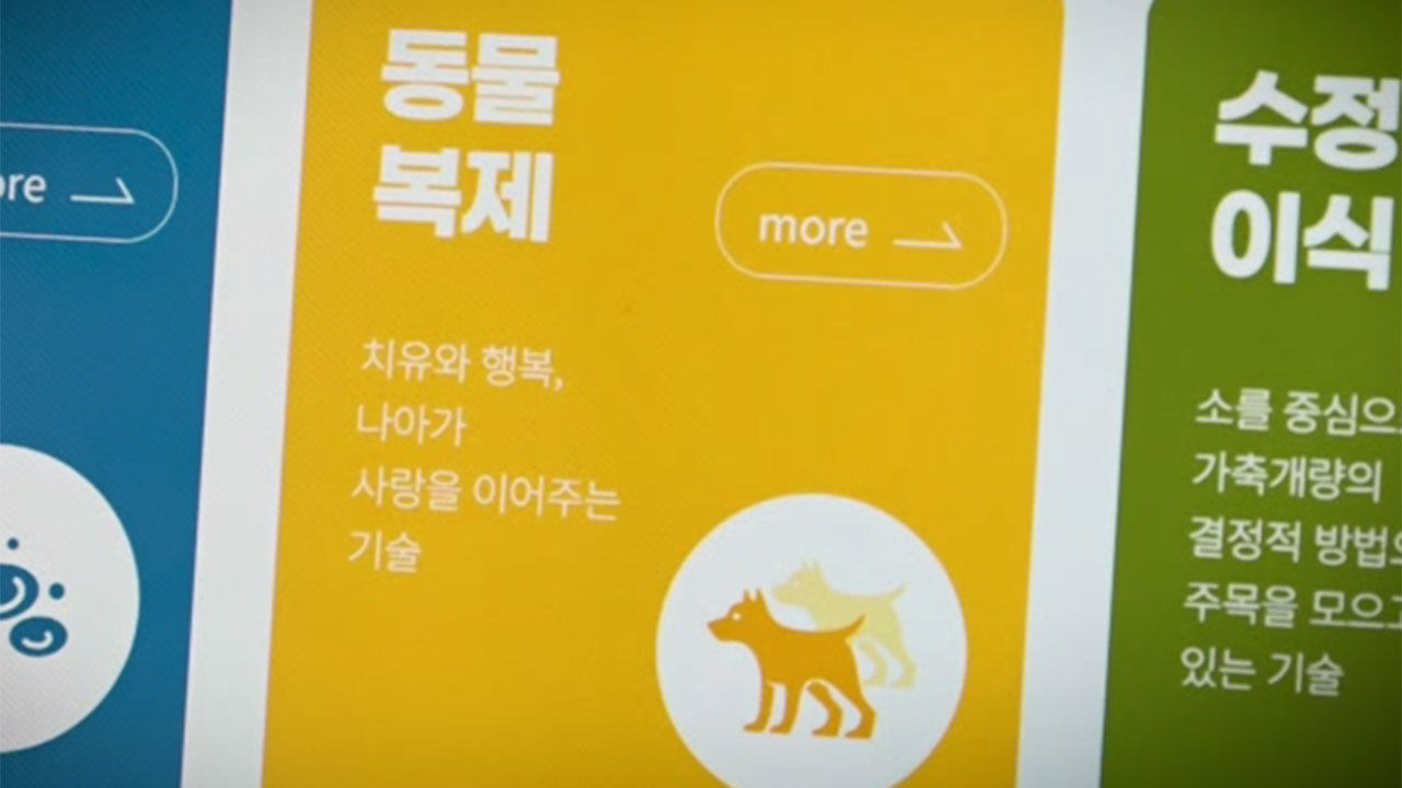 동물 복제