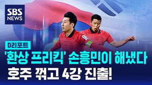 디리포트 손흥민