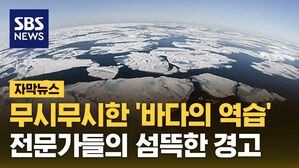 자막뉴스 바다