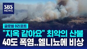 [글로벌D리포트] 칠레 최악 산불 "지옥 같았어요"&hellip;엘니뇨에 비상