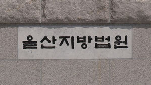 아버지 명의 도용해 전세 대출 사기 벌인 딸 징역 4개월
