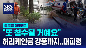 [글로벌D리포트] 미 LA 홍수&middot;강풍 위험&hellip;일부 대피령도