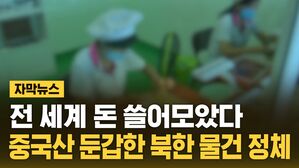 [자막뉴스] 중국산인 줄 알았는데&hellip;'수천억 매출' 깜짝