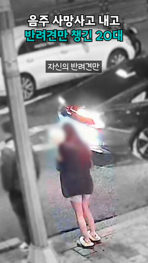 만취 상태로 사망사고 낸 그 운전자는 피해자보다 반려견을 챙겼다