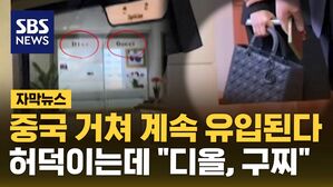 [자막뉴스] 최근 포착된 모습도 같았다&hellip;허덕이는데 "디올, 구찌"