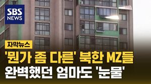 [자막뉴스] 묶여있던 '3급 비밀' 공개&hellip;완벽했던 엄마도 '눈물'