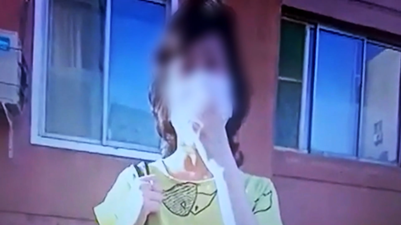 스프 교양이를 부탁해