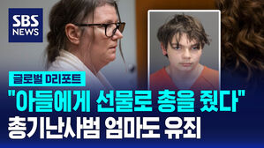 [글로벌D리포트] 총격난사범 엄마도 '과실치사' 유죄 선고