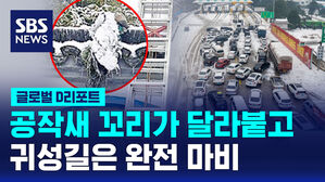 [글로벌D리포트] 폭설 &middot; 한파에 공작 꼬리 '꽁꽁'