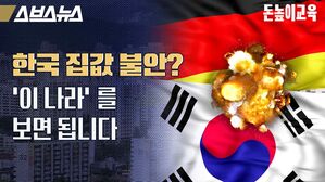 스브스뉴스 돈높이교육 한국 집값 불안 이 나라를 보면 됩니다