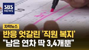 [자막뉴스] 반응 엇갈린 '직원 복지'&hellip;"남은 연차 딱 3,4개뿐"