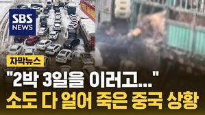 [자막뉴스] 소도 다 얼어 죽었다&hellip;큰일 앞둔 중국 '올스톱' 비상