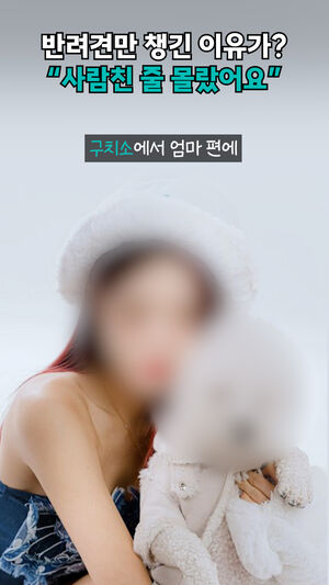 만취 사망사고 낸 DJ가 구치소에서 보낸 반성문