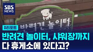 [D리포트] "이게 다 휴게소에 있다고?"&hellip;반려견 놀이터에 무료 샤워장까지 '눈길'