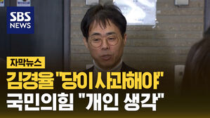 [자막뉴스] 김경율 비대위원 "당이 사과해야"&hellip;국민의힘 "개인 생각"