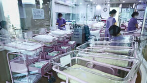 2024년 주민등록 출생자 수 24만 2,334명&hellip;9년 만에 증가