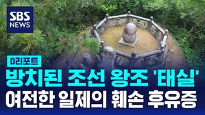 D리포트 태실