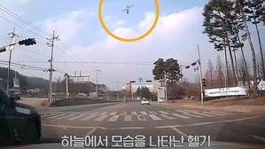 시속 200km로 도주한 불체자, 경찰헬기가 잡았다