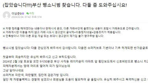 사람 치고 달아난 뺑소니범&hellip;주차 단속하던 공무원 활약에 검거