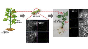 식물이 흡수한 미세 플라스틱, 열매 통해 후세대로 전달된다