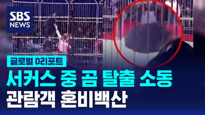 [글로벌D리포트] 중국 서커스 중 곰 탈출 소동&hellip;관람객 '혼비백산'