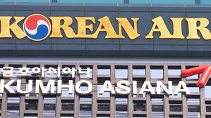 대한항공, 아시아나 품고 '세계 10위권 메가 캐리어' 성큼