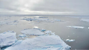 기후 대재앙 우려&hellip;"이르면 2030년대 대서양 해류체계 붕괴"